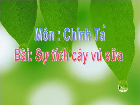 Bài giảng Chính tả Lớp 2 - Tuần 12: Sự tích cây vú sữa