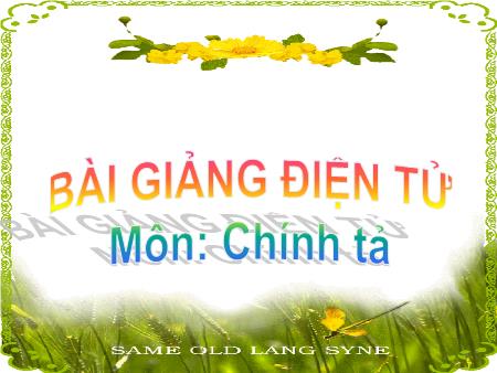 Bài giảng Chính tả Lớp 3 - Đôi bạn Bài giảng Chính tả Lớp 3 - Đôi bạn