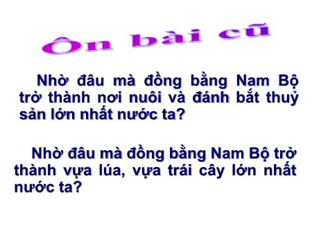 Bài giảng Địa lí Khối 4 - Hoạt động sản xuất của người dân ở đồng bằng Nam Bộ (Tiếp theo)