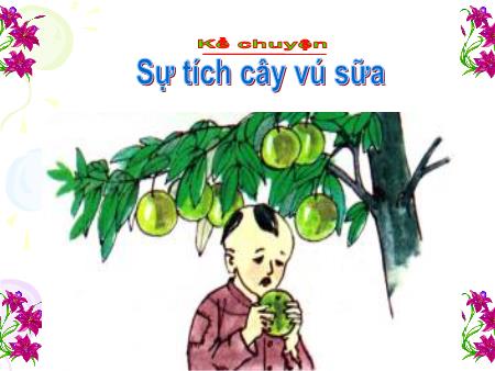 Bài giảng Kể chuyện Lớp 2 - Tuần 12: Sự tích cây vú sữa