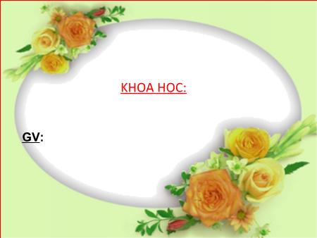 Bài giảng Khoa học Khối 4 - Nóng, lạnh và nhiệt độ