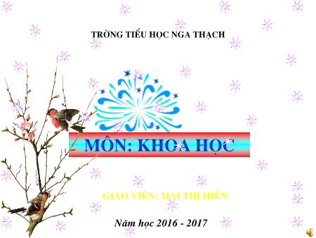Bài giảng Khoa học Lớp 4 - Ăn uống khi bị bệnh - Trường TH Nga Thạch Bài giảng Khoa học Lớp 4 - Ăn uống khi bị bệnh - Trường TH Nga Thạch
