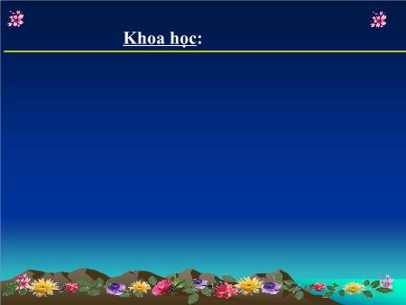 Bài giảng Khoa học Lớp 4 - Bạn cảm thấy thế nào khi bị bệnh? Bài giảng Khoa học Lớp 4 - Bạn cảm thấy thế nào khi bị bệnh?