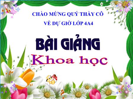 Bài giảng Khoa học Lớp 4 - Phòng tránh tai nạn đuối nước - Trường TH Đô Thị Việt Hưng Bài giảng Khoa học Lớp 4 - Phòng tránh tai nạn đuối nước - Trường TH Đô Thị Việt Hưng
