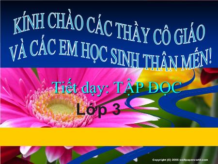 Bài giảng Tập đọc Lớp 3 - Chương trình xiếc đặc sắc