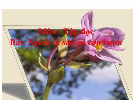 Bài giảng Tập đọc Lớp 3 - Người đi săn và con vượn Bài giảng Tập đọc Lớp 3 - Người đi săn và con vượn