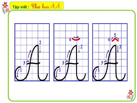 Bài giảng Tập viết Lớp 2 - Tuần 2: Chữ hoa A, Â