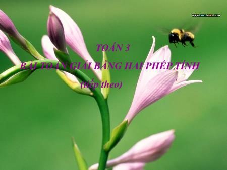 Bài giảng Toán Khối 3 - Bài toán giải bằng hai phép tính (Tiếp theo) Bài giảng Toán Khối 3 - Bài toán giải bằng hai phép tính (Tiếp theo)