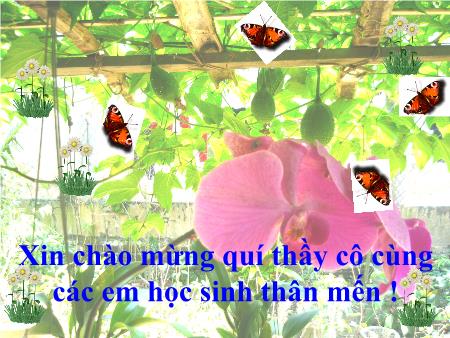 Bài giảng Toán Khối 3 - Tuần 19: Các số có bốn chữ số (Tiếp theo) Bài giảng Toán Khối 3 - Tuần 19: Các số có bốn chữ số (Tiếp theo)