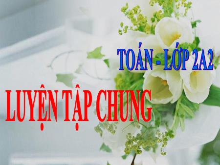 Bài giảng Toán Lớp 2 - Luyện tập chung (Trang 166)