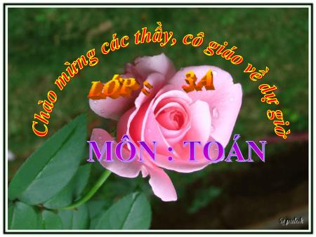 Bài giảng Toán Lớp 3 - Tuần 32: Luyện tập