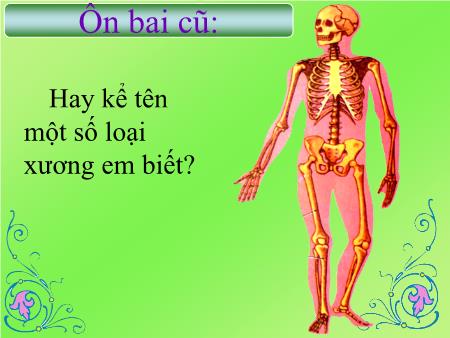 Bài giảng Tự nhiên và Xã hội Khối 2 - Tuần 3: Hệ cơ