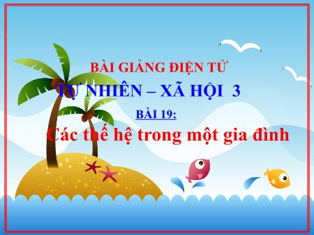 Bài giảng Tự nhiên và Xã hội Khối 3 - Bài 19: Các thế hệ trong một gia đình