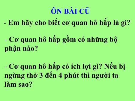 Bài giảng Tự nhiên và Xã hội Khối 3 - Tuần 1: Nên thở như thế nào? - Trường Tiểu học Đô Thị Việt Hưng