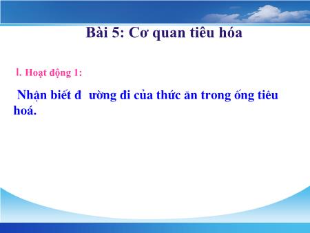 Bài giảng Tự nhiên và Xã hội Lớp 2 - Bài 5: Cơ quan tiêu hóa