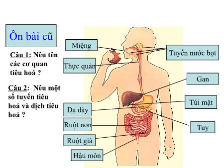 Bài giảng Tự nhiên và Xã hội Lớp 2 - Tuần 6: Tiêu hóa thức ăn