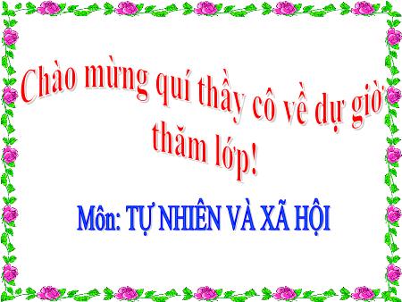 Bài giảng Tự nhiên và Xã hội Lớp 3 - Bài 36: Vệ sinh môi trường