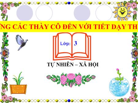 Bài giảng Tự nhiên và Xã hội Lớp 3 - Bài 45: Lá cây