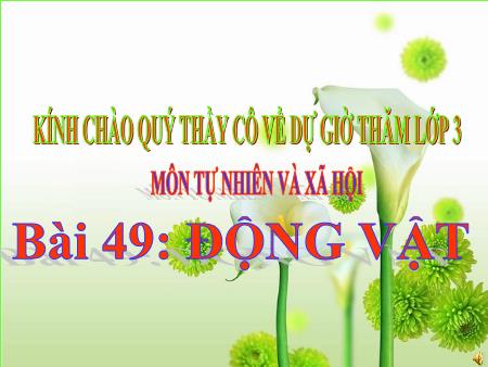 Bài giảng Tự nhiên và Xã hội Lớp 3 - Bài 49: Động vật