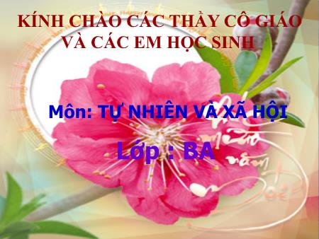 Bài giảng Tự nhiên và Xã hội Lớp 3 - Bài 54: Thú