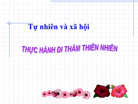 Bài giảng Tự nhiên và Xã hội Lớp 3 - Bài 56, 57: Thực hành đi thăm thiên nhiên