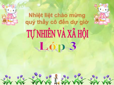 Bài giảng Tự nhiên và Xã hội Lớp 3 - Bài 59: Trái Đất - Quả địa cầu