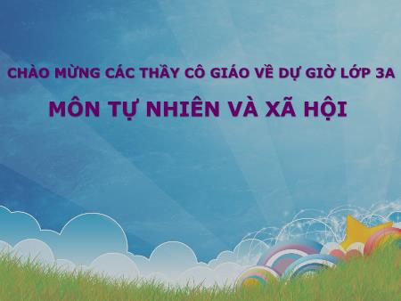 Bài giảng Tự nhiên và Xã hội Lớp 3 - Tuần 11: Thực hành Phân tích và vẽ sơ đồ mối quan hệ họ hàng