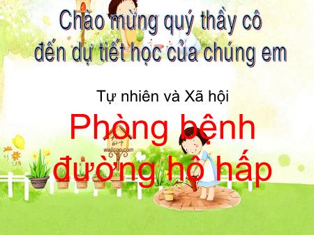 Bài giảng Tự nhiên và Xã hội Lớp 3 - Tuần 2: Phòng bệnh đường hô hấp