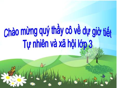 Bài giảng Tự nhiên và Xã hội Lớp 3 - Tuần 21: Thân cây (Tiết 2)