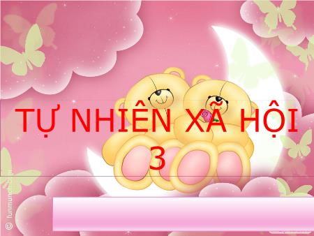 Bài giảng Tự nhiên và Xã hội Lớp 3 - Tuần 7: Hoạt động thần kinh (Tiếp theo)