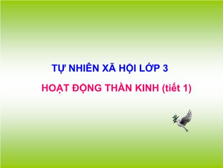 Bài giảng Tự nhiên và Xã hội Lớp 3 - Tuần 7: Hoạt động thần kinh (Tiết 1)