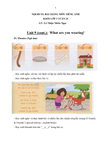 Nội dung bài học môn Tiếng Anh Lớp 3 - Unit 9 (Cont.): What are you wearing! - Lê Thiện Nhiên Ngọc
