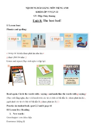 Nội dung bài học môn Tiếng Anh Lớp 5 - Unit 8: The best bed! - Diệp Thùy Hương